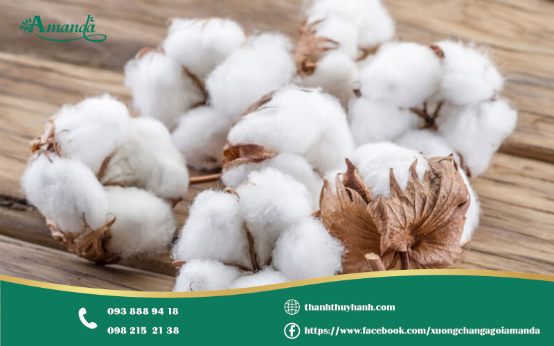 sử dụng cotton sợi dài, có xuất xứ từ các vùng trồng bông nổi tiếng