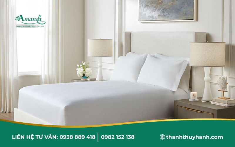  Làm việc với xưởng sản xuất trực tiếp để tối ưu chi phí