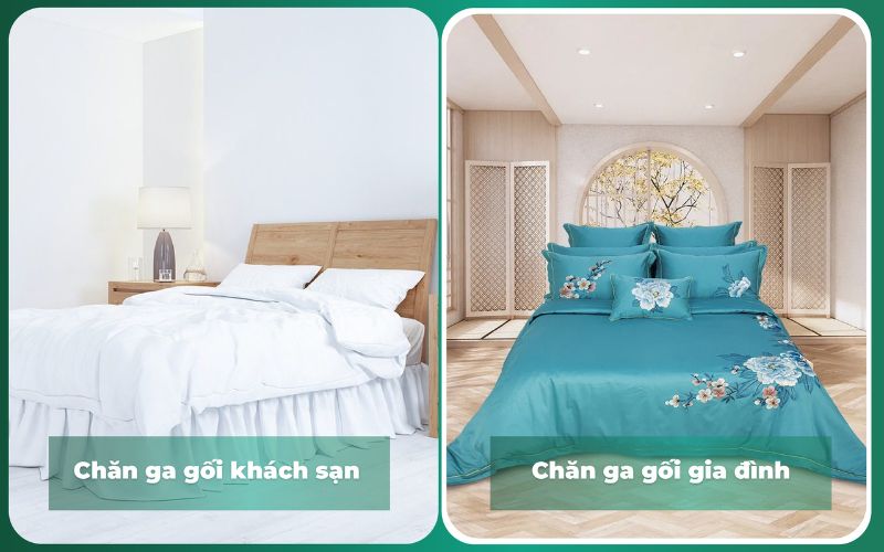 Nên chọn loại nào phù hợp với bạn