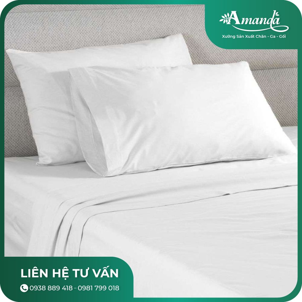 Chăn ga gối khách sạn Cotton T300