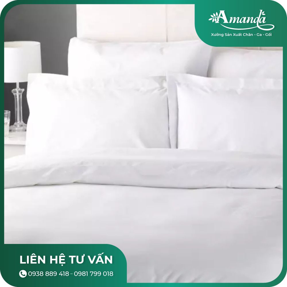 Chăn ga gối khách sạn Cotton T300