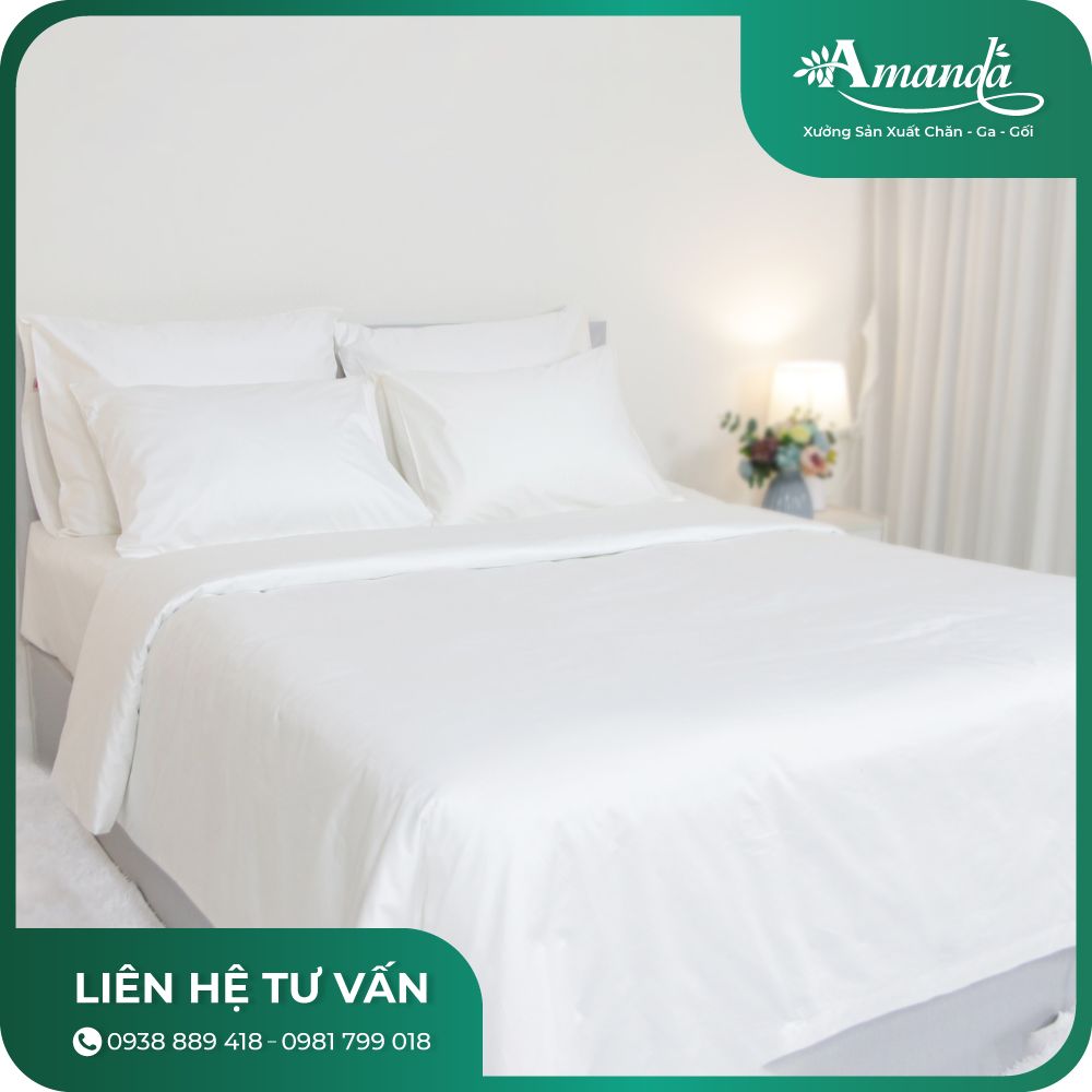 Chăn ga gối khách sạn Cotton T300
