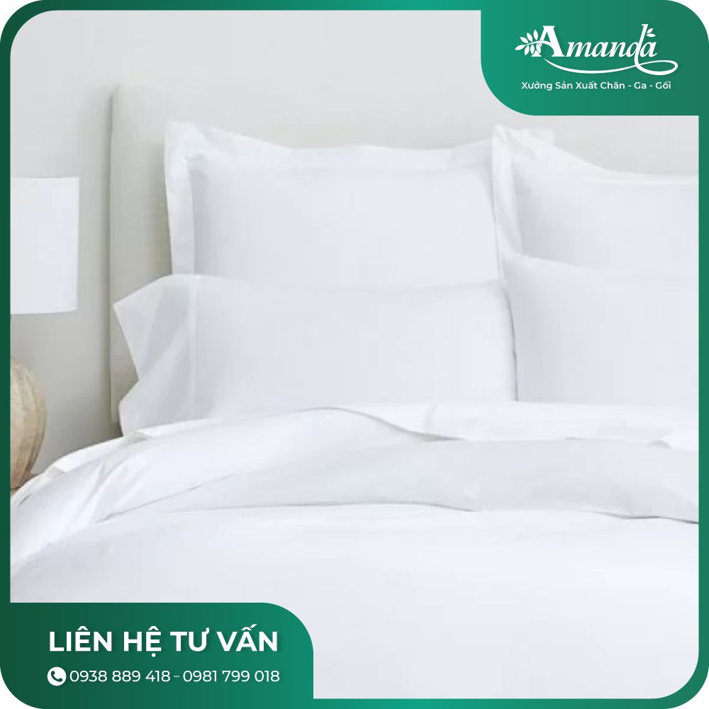 Chăn ga gối khách sạn Cotton T300